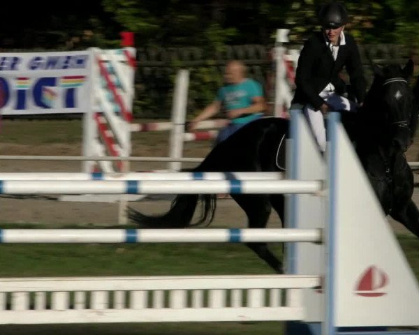 Reitturnier Wernigerode 2018
