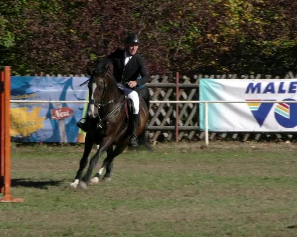 Reitturnier Wernigerode 2018