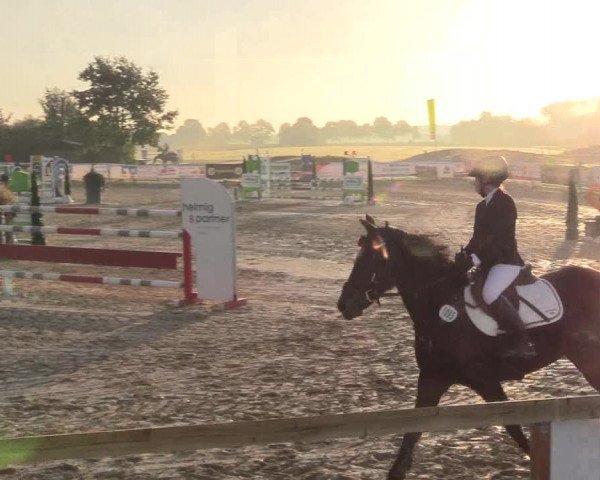 Reitturnier Lüdinghausen-Westrup 2018