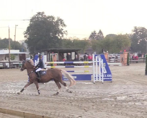 Reitturnier Lüdinghausen-Westrup 2018