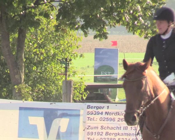 Reitturnier Lüdinghausen-Westrup 2018