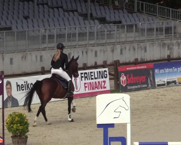 Reitturnier Westergellersen 2021