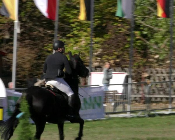 Reitturnier Wernigerode 2018