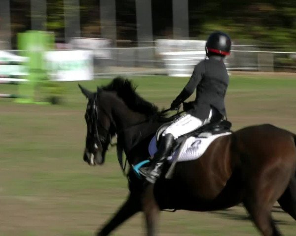 Reitturnier Wernigerode 2018