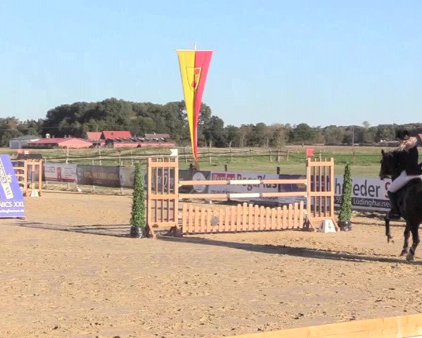 Reitturnier Lüdinghausen-Westrup 2018