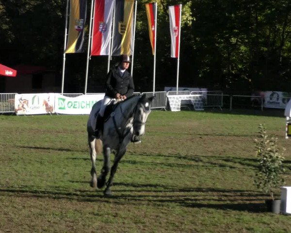 Reitturnier Wernigerode 2018