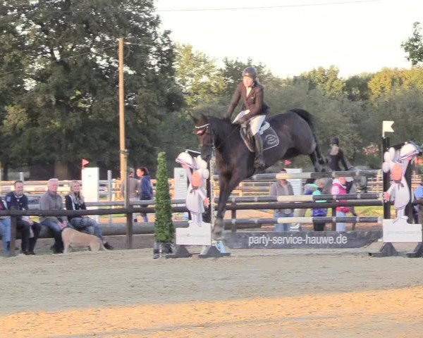 Reitturnier Lüdinghausen-Westrup 2018