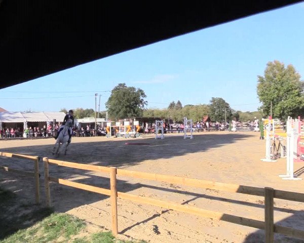 Reitturnier Lüdinghausen-Westrup 2018