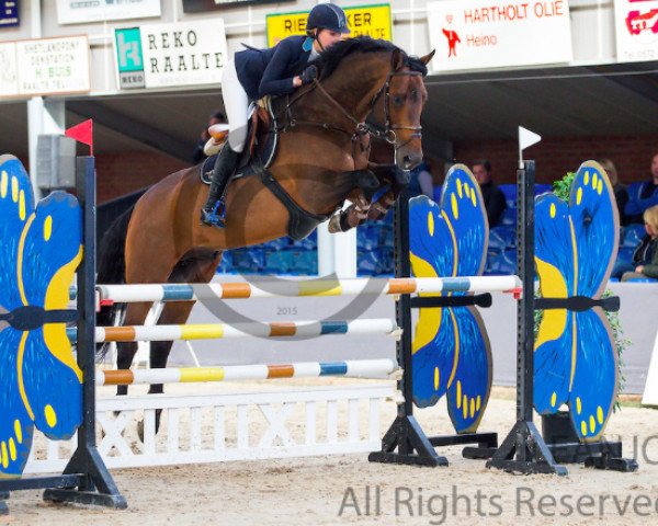 stallion Boss (KWPN (Royal Dutch Sporthorse), 2006, from Indoctro)