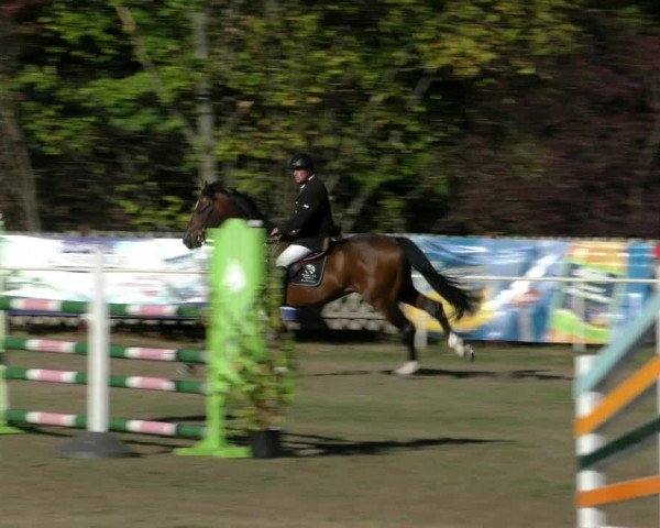 Reitturnier Wernigerode 2018