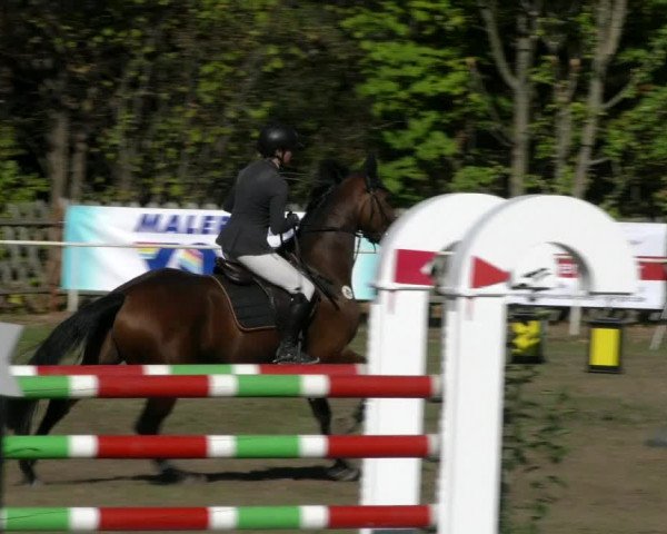 Reitturnier Wernigerode 2018