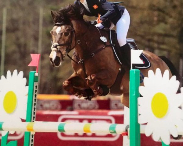 jumper Unbelievable (Dutch Pony, 2005)