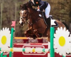 jumper Unbelievable (Dutch Pony, 2005)