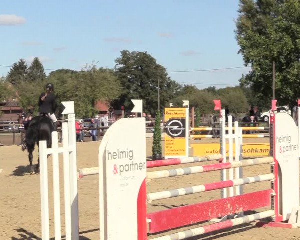 Reitturnier Lüdinghausen-Westrup 2018