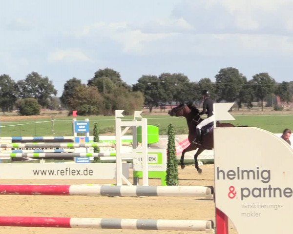 Reitturnier Lüdinghausen-Westrup 2018