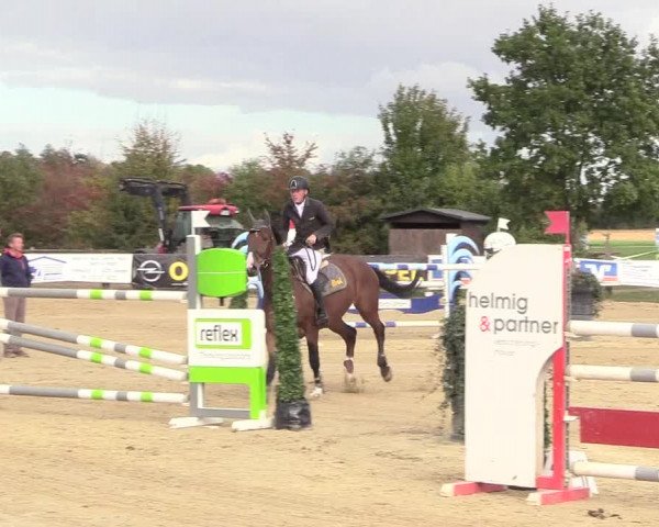 Reitturnier Lüdinghausen-Westrup 2018