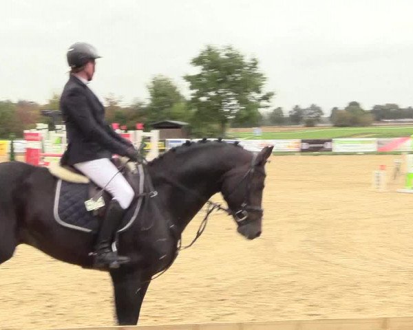 Reitturnier Lüdinghausen-Westrup 2018