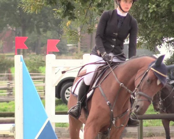 Reitturnier Lüdinghausen-Westrup 2018