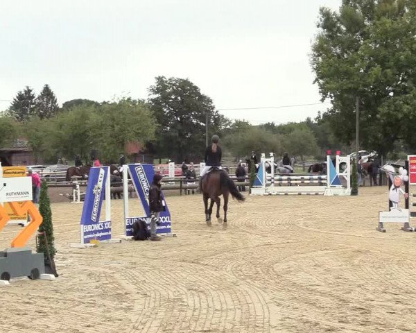 Reitturnier Lüdinghausen-Westrup 2018