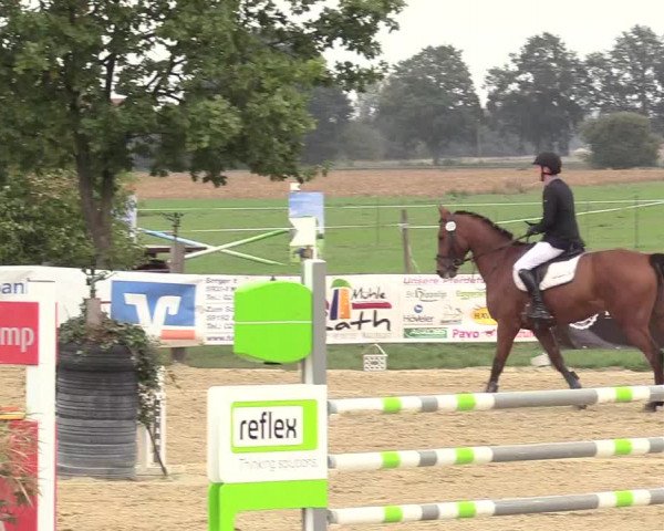 Reitturnier Lüdinghausen-Westrup 2018