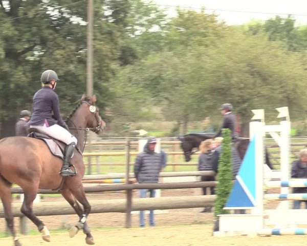 Reitturnier Lüdinghausen-Westrup 2018
