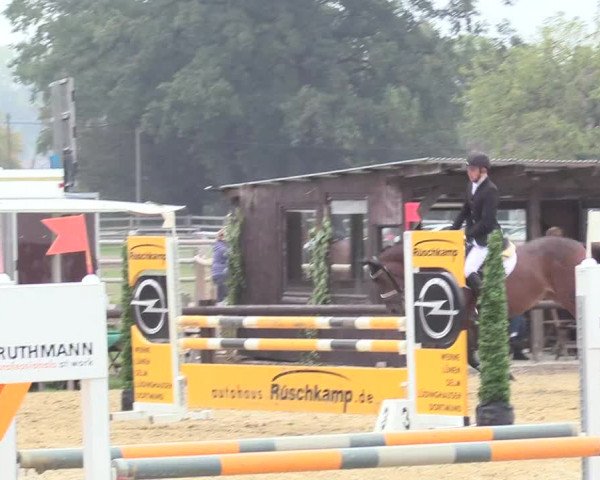 Reitturnier Lüdinghausen-Westrup 2018