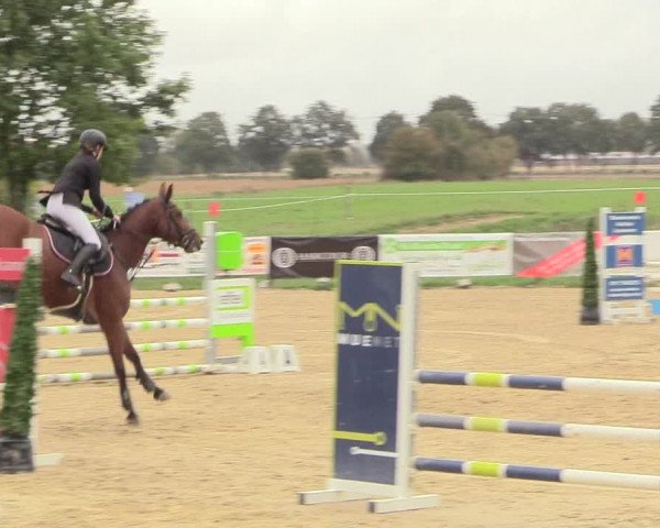 Reitturnier Lüdinghausen-Westrup 2018