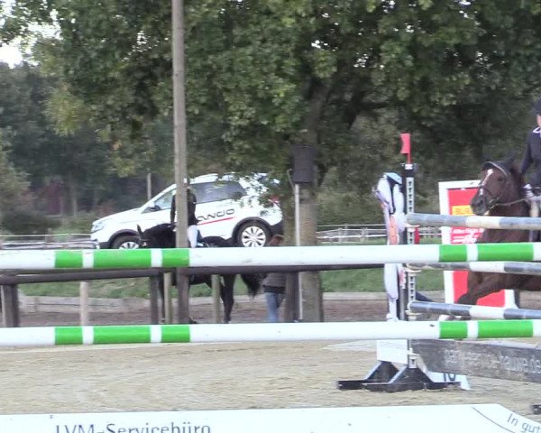 Reitturnier Lüdinghausen-Westrup 2018