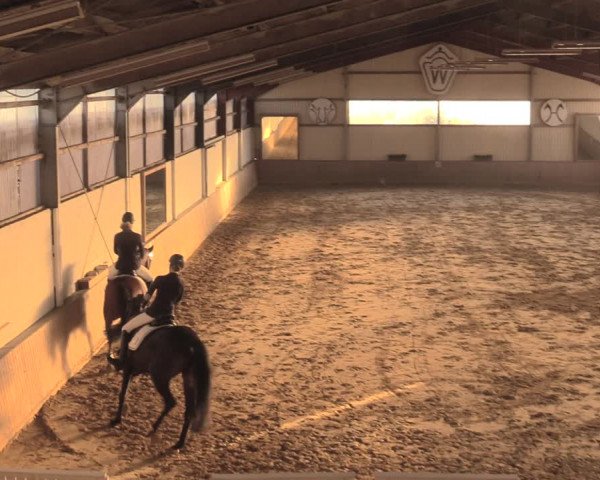 Reitturnier Lüdinghausen-Westrup 2018