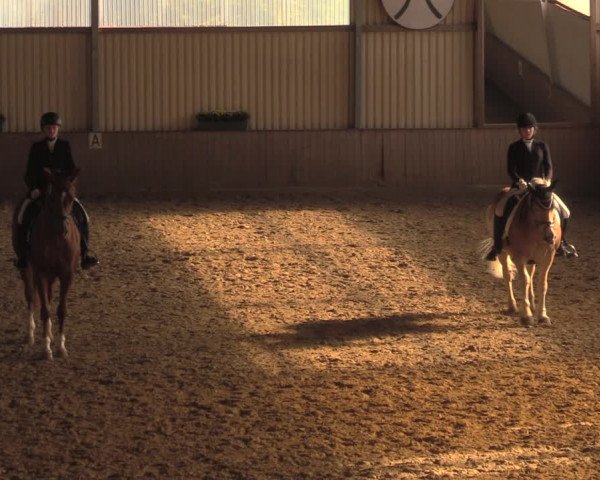 Reitturnier Lüdinghausen-Westrup 2018