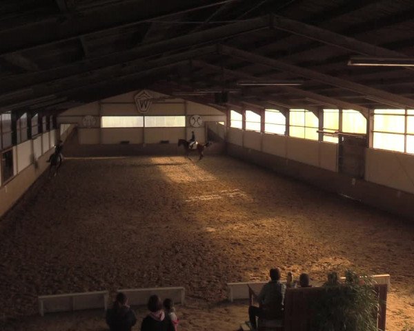 Reitturnier Lüdinghausen-Westrup 2018