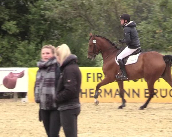 Reitturnier Lüdinghausen-Westrup 2018