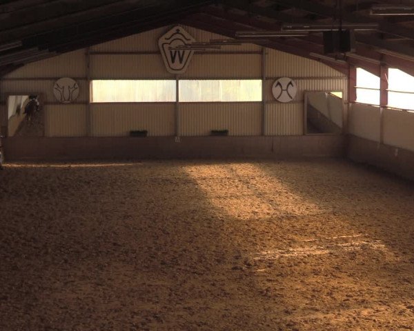 Reitturnier Lüdinghausen-Westrup 2018