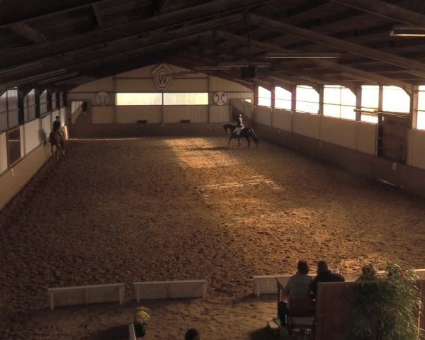 Reitturnier Lüdinghausen-Westrup 2018