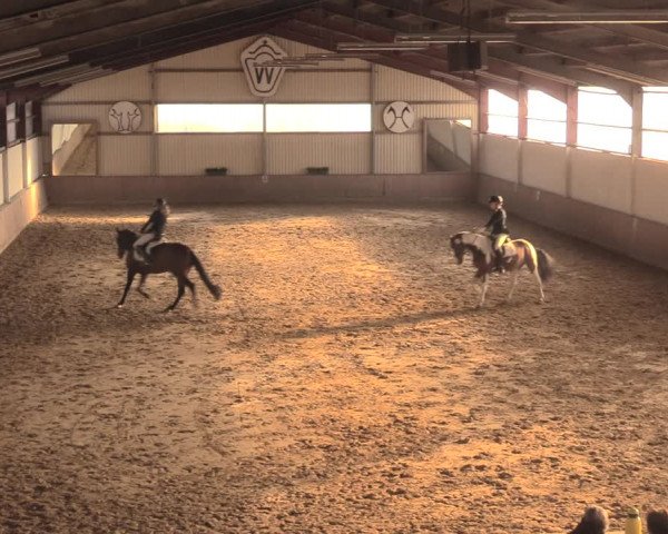 Reitturnier Lüdinghausen-Westrup 2018