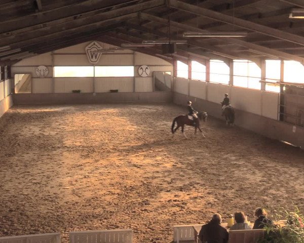 Reitturnier Lüdinghausen-Westrup 2018