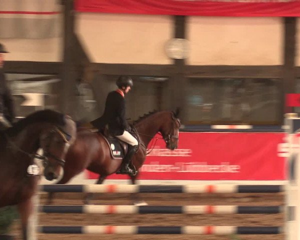 Reitturnier Ovenstädt 2018