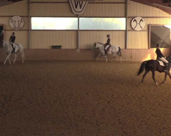 Reitturnier Lüdinghausen-Westrup 2018