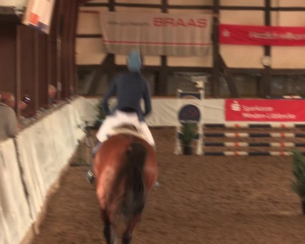 Reitturnier Ovenstädt 2018