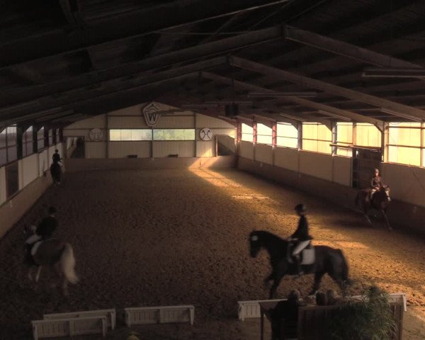 Reitturnier Lüdinghausen-Westrup 2018
