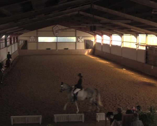 Reitturnier Lüdinghausen-Westrup 2018