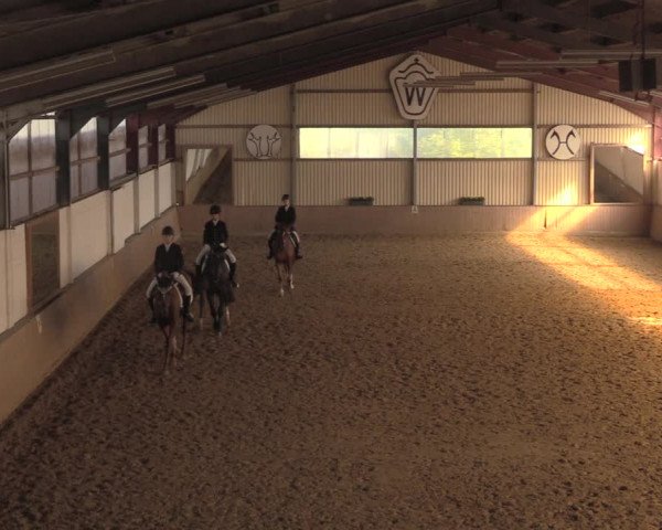Reitturnier Lüdinghausen-Westrup 2018