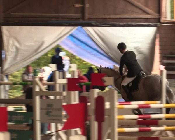Reitturnier Ovenstädt 2018