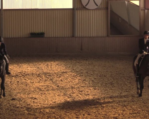 Reitturnier Lüdinghausen-Westrup 2018