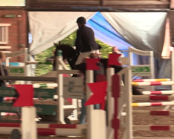 Reitturnier Ovenstädt 2018