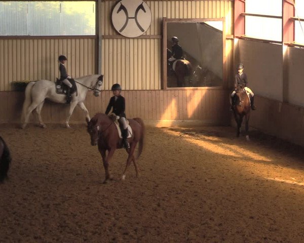 Reitturnier Lüdinghausen-Westrup 2018