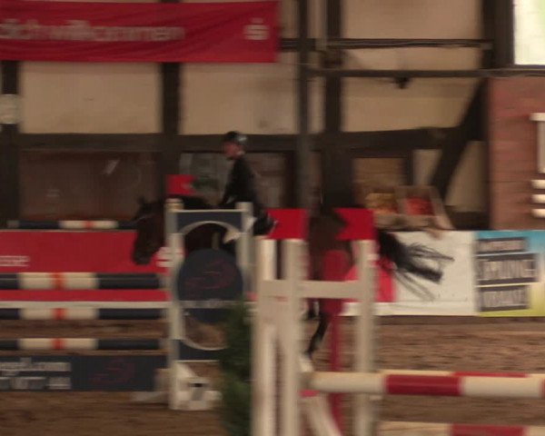 Reitturnier Ovenstädt 2018