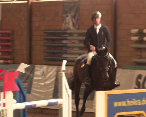 Reitturnier Ovenstädt 2018