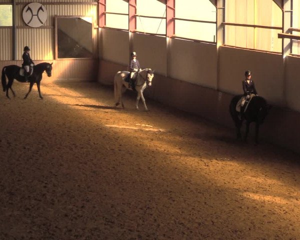 Reitturnier Lüdinghausen-Westrup 2018