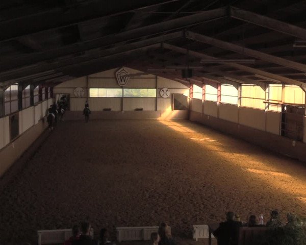 Reitturnier Lüdinghausen-Westrup 2018